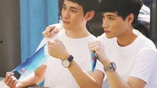 海青爆料王磊视频,真相与争议交织  第3张